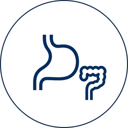 消化器内科・肛門内科アイコン